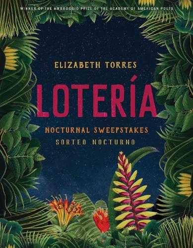 Бумажная книга «Lotería: Nocturnal Sweepstakes», автор Элизабет Торрес - фото №1