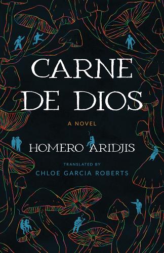 Paper book «Carne De Dios: A Novel», author Homero Aridjis - фото №1