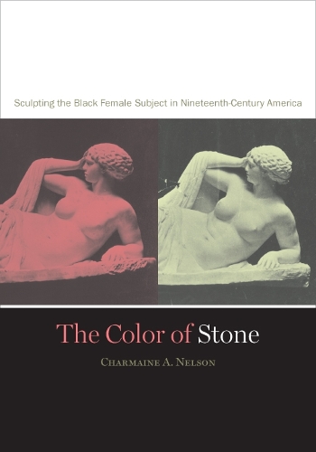 Бумажная книга «The Color of Stone: Sculpting the Black Female Subject in Nineteenth-Century America», автор Шармейн А. Нельсон - фото №1