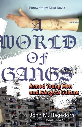 Бумажная книга «A World of Gangs: Armed Young Men and Gangsta Culture», автор Джон М. М. Хагедорн - фото №1