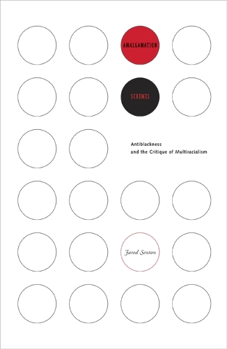 Бумажная книга «Amalgamation Schemes: Antiblackness and the Critique of Multiracialism», автор Джаред Секстон - фото №1