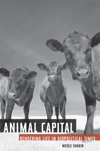 Бумажная книга «Animal Capital: Rendering Life in Biopolitical Times», автор Николь Шукин - фото №1