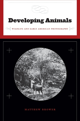 Бумажная книга «Developing Animals: Wildlife and Early American Photography», автор Мэтью Брауэр - фото №1