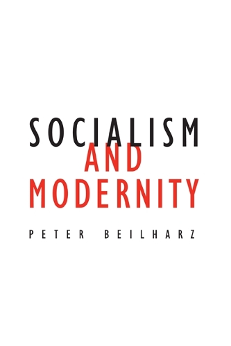 Бумажная книга «Socialism and Modernity», автор Петер Бейльхарц - фото №1