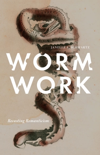 Бумажная книга «Worm Work: Recasting Romanticism», автор Жанель А. Шварц - фото №1