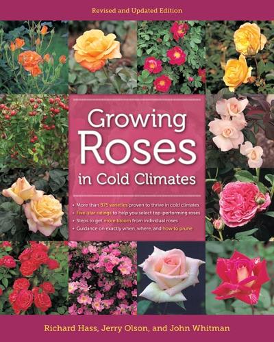 Бумажная книга «Growing Roses in Cold Climates: Revised and Updated Edition», авторов Джерри Олсон, Джон Уитмен, Ричард Хасс - фото №1