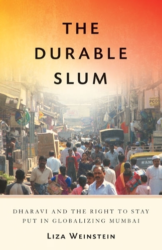 Бумажная книга «The Durable Slum: Dharavi and the Right to Stay Put in Globalizing Mumbai», автор Лайза Вайнштейн - фото №1