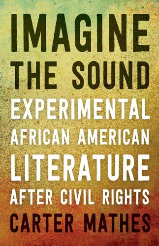 Бумажная книга «Imagine the Sound: Experimental African American Literature after Civil Rights», автор Картер Мэтис - фото №1