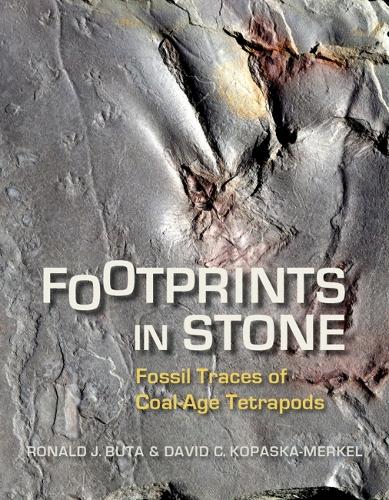 Бумажная книга «Footprints in Stone: Fossil Traces of Coal-Age Tetrapods», авторов Дэвид К. Копаска-Меркель, Рональд Дж. Бута - фото №1