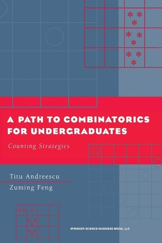 [object Object] «A Path to Combinatorics for Undergraduates: Counting Strategies», авторов Титу Андрееску, Зуминг Фенг - фото №1