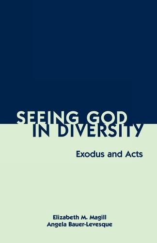 Бумажная книга «Seeing God in Diversity: Exodus and Acts», авторов Анжела Бауэр-Левеск, Элизабет Мэгилл - фото №1