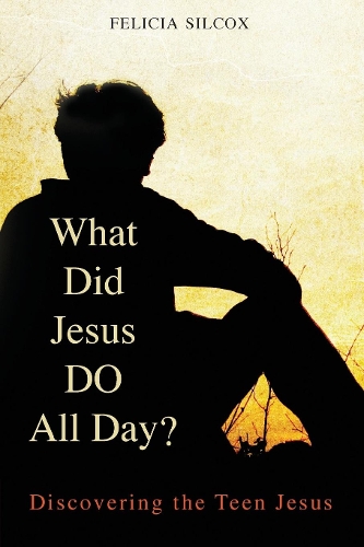 Бумажная книга «What Did Jesus DO All Day?: Discovering the Teen Jesus», автор Фелиция Силкокс - фото №1