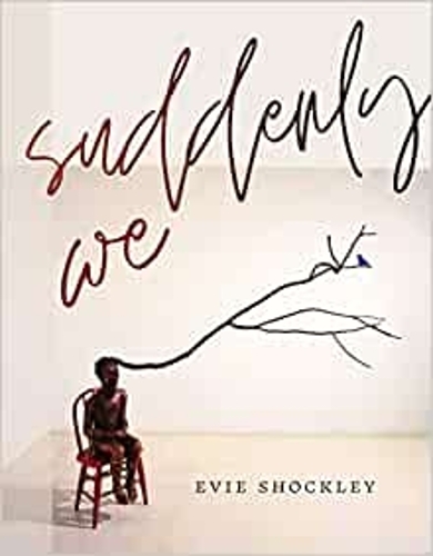 Бумажная книга «suddenly we», автор Эви Шокли - фото №1