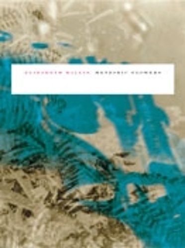 Паперова книга «Meteoric Flowers», автор Елізабет Вілліс - фото №1