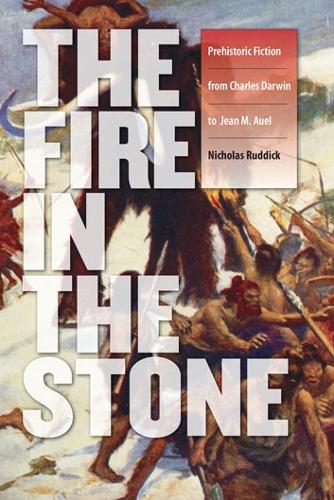 Бумажная книга «Fire in the Stone», автор Николас Раддик - фото №1