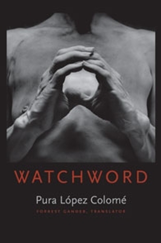 Бумажная книга «Watchword», автор Пура Лопес Коломе - фото №1