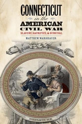 Паперова книга «Connecticut in the American Civil War», автор Метью Варшауер - фото №1