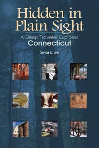 Бумажная книга «Hidden in Plain Sight», автор Дэвид К. Лефф - фото №1