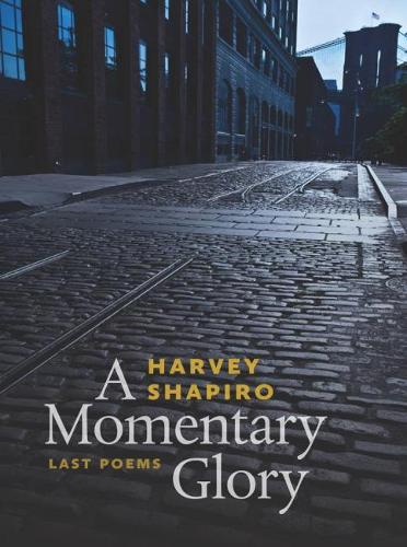 Бумажная книга «A Momentary Glory», автор Харви Шапиро - фото №1