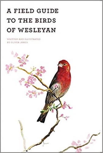 Бумажная книга «A Field Guide of the Birds of Wesleyan», автор Оливер Джеймс - фото №1