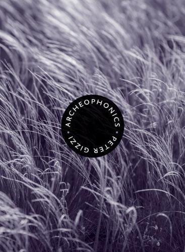 Бумажная книга «Archeophonics», автор Питер Гицци - фото №1