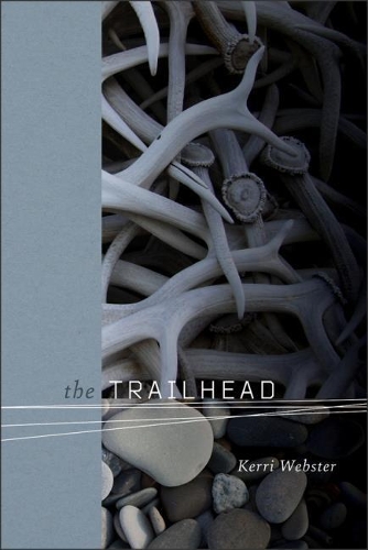 Бумажная книга «The Trailhead», автор Керри Уэбстер - фото №1