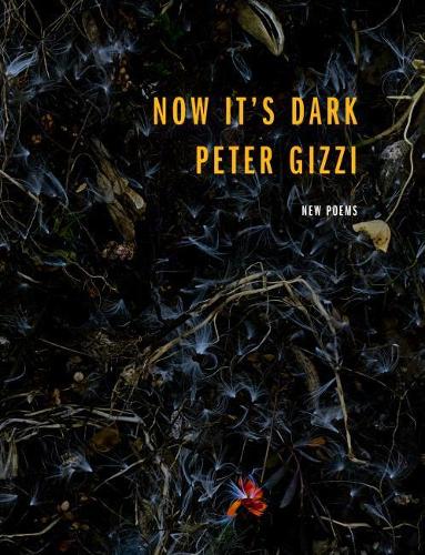Бумажная книга «Now It's Dark», автор Питер Гицци - фото №1
