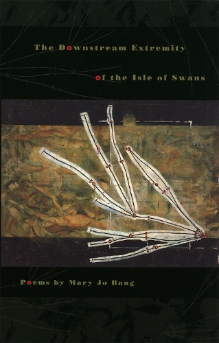 Бумажная книга «The Downstream Extremity of the Isle of Swans: Poems», автор Мэри Джо Банг - фото №1
