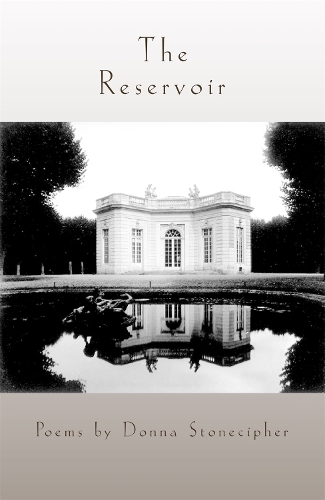 Бумажная книга «The Reservoir», автор Донна Стоуншифер - фото №1