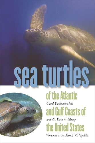 Бумажная книга «Sea Turtles of the Atlantic and Gulf Coasts of the United States», авторов К.Роберт Шуп, Кэрол Ракдешель - фото №1