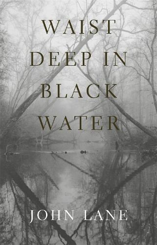 Бумажная книга «Waist Deep in Black Water», автор Джон Лейн - фото №1