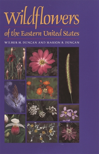 Паперова книга «Wildflowers of the Eastern United States», авторів Маріон Б. Дункан, Вілбур Х. Дункан - фото №1