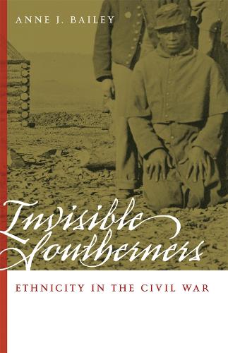 Паперова книга «Invisible Southerners: Ethnicity in the Civil War», автор Енн Дж. Бейлі - фото №1