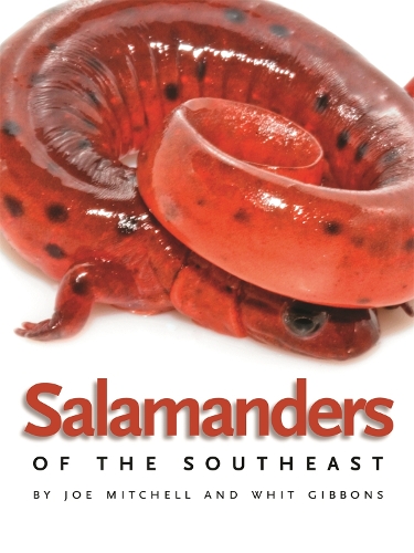 Бумажная книга «Salamanders of the Southeast», авторов Джо Митчелл, Уит Гиббонс - фото №1