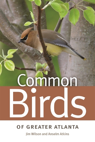 Паперова книга «Common Birds of Greater Atlanta», авторів Ансельм Аткінс, Джим Вілсон - фото №1