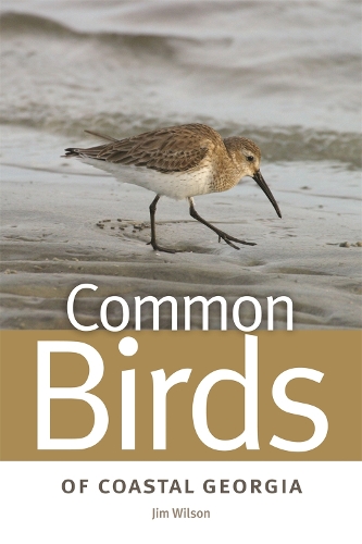 Паперова книга «Common Birds of Coastal Georgia», автор Джим Вілсон - фото №1