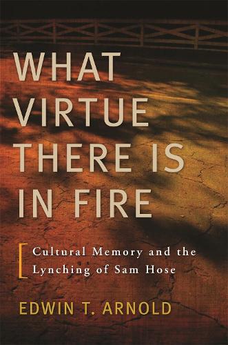 Бумажная книга «What Virtue There Is In Fire: Cultural Memory and the Lynching of Sam Hose», автор Эдвин Т. Арнольд - фото №1