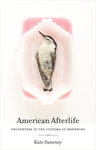 Бумажная книга «American Afterlife: Encounters in the Customs of Mourning», автор Кейт Суини - фото №1