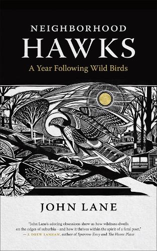 Бумажная книга «Neighborhood Hawks: A Year Following Wild Birds», автор Джон Лейн - фото №1