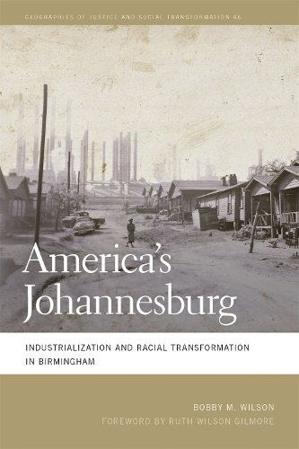 Бумажная книга «America's Johannesburg: Industrialization and Racial Transformation in Birmingham», автор Бобби М. Уилсон - фото №1