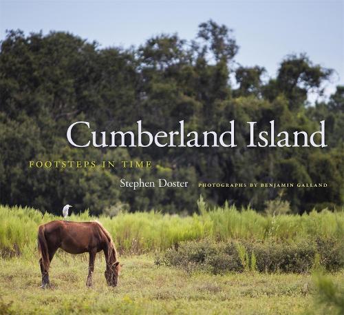 Бумажная книга «Cumberland Island: Footsteps in Time», автор Стивен Достер - фото №1