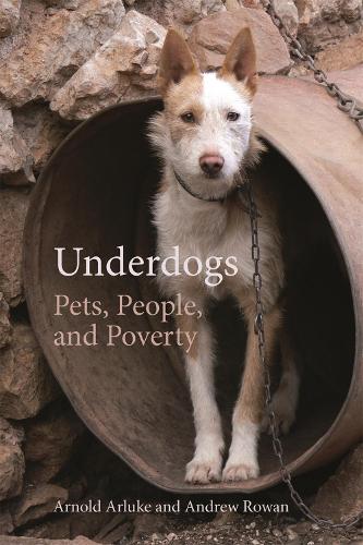 Паперова книга «Underdogs: Pets, People, and Poverty», авторів Ендрю Рован, Арнольд Арлюк - фото №1