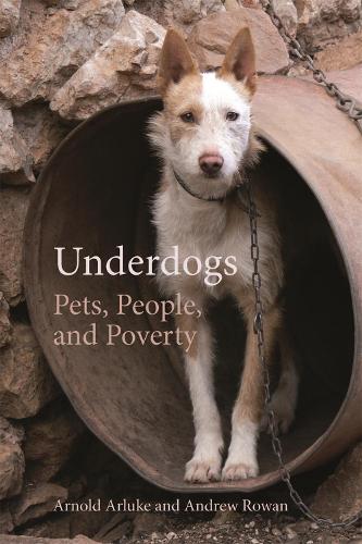 Паперова книга «Underdogs: Pets, People, and Poverty», авторів Ендрю Рован, Арнольд Арлюк - фото №1