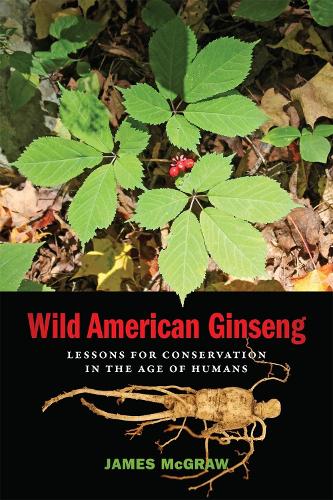 Бумажная книга «Wild American Ginseng: Lessons for Conservation in the Age of Humans», автор Джеймс Макгроу - фото №1