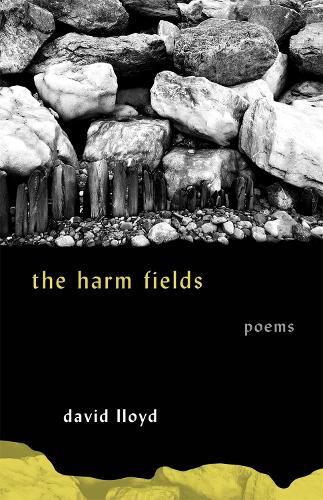 [object Object] «The Harm Fields: Poems», автор Девід Ллойд - фото №1