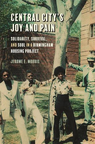 Бумажная книга «Central City's Joy and Pain: Solidarity, Survival, and Soul in a Birmingham Housing Project», автор Джером Э. Моррис - фото №1