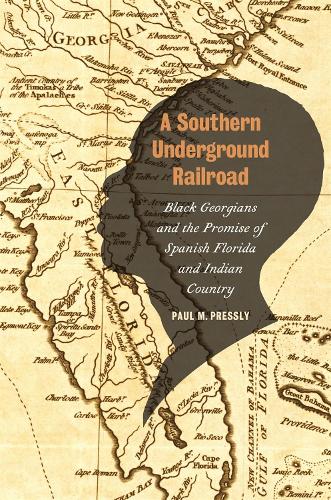 Бумажная книга «A Southern Underground Railroad: Black Georgians and the Promise of Spanish Florida and Indian Country», авторов Джеймс Ф. Брукс, Пол М. Прессли - фото №1