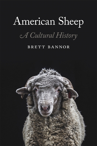 Бумажная книга «American Sheep: A Cultural History», автор Бретт Бэннор - фото №1
