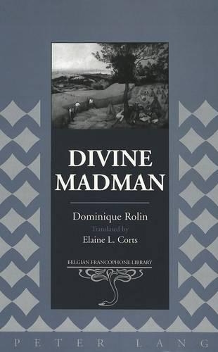Паперова книга «Divine Madman: Reflections on Interpretation and Practice» - фото №1