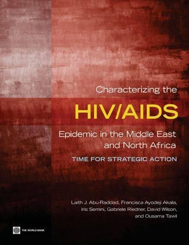 Паперова книга «Characterizing the HIV/AIDS Epidemic in the Middle East and North Africa: Time for Strategic Action», авторів Франциска Айодеджі Акала, Айріс Семіні - фото №1
